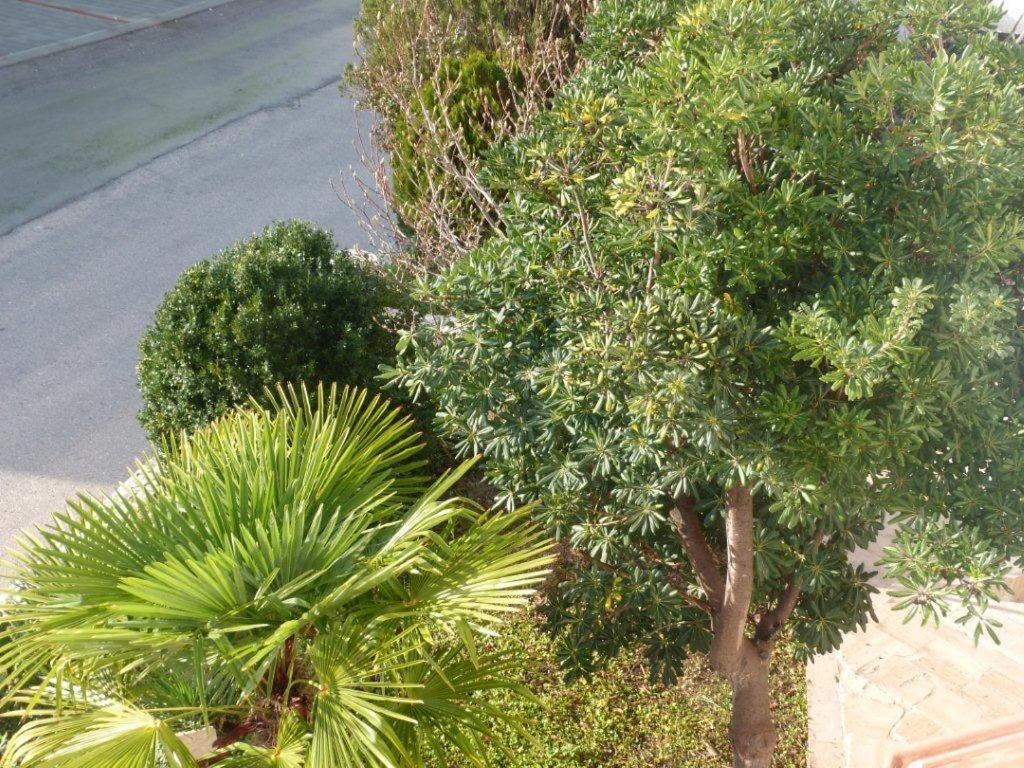 Apartmani Levarda Τρογκίρ Εξωτερικό φωτογραφία